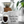 Load image into Gallery viewer, Dad’s The Fucking Cook Mug - Funny Gift for Grill Masters & Kitchen Boss Dads